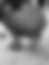 Emina Skl. - GANZ NEU! ? - hidden photo 3