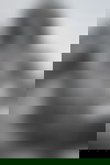 Natalie ?? - hidden photo 12