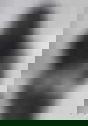 Natalie ?? - hidden photo 9