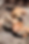 Charon Reii ? - hidden photo 11