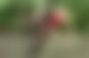 Oksanaheisse ? - hidden photo 27