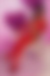 Meet Amazing May Erotikmassage: Top Escort Girl - hidden photo 4