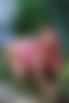 Meet Amazing Roxana Butt: Top Escort Girl - hidden photo 4