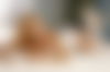 Trans Katherina ???? - hidden photo 12