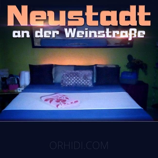 Best Alteingesessene Wohnung Sehr bekannt für Transssexuelle in Neustadt - place photo 4