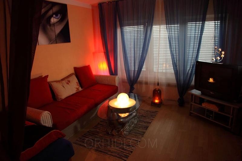 Best Bevorzugt langfristig an Damen zu vermieten ! 2 schöne 1 Zimmer - Appartements in Regensburg - place photo 5
