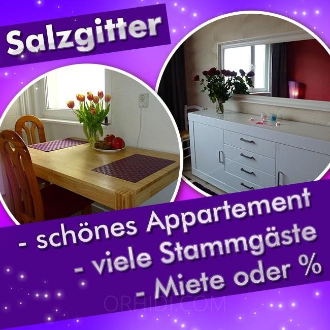 Mejor Spitzen Verdienst im Apartment mit 2 Arbeitszimmern en Salzgitter - place photo 2