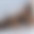 Treffen Sie Amazing Skinny Sara: Top Eskorte Frau - hidden photo 6