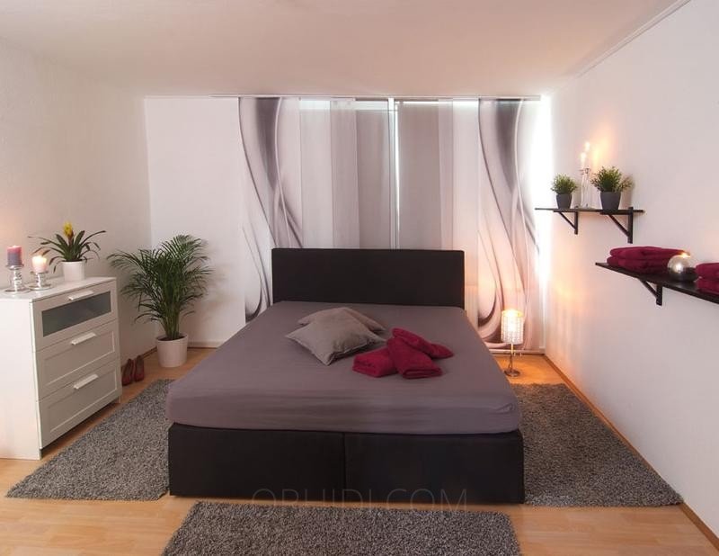 Best Flat for rent Models Are Waiting for You - place Erotik Masseurin gesucht