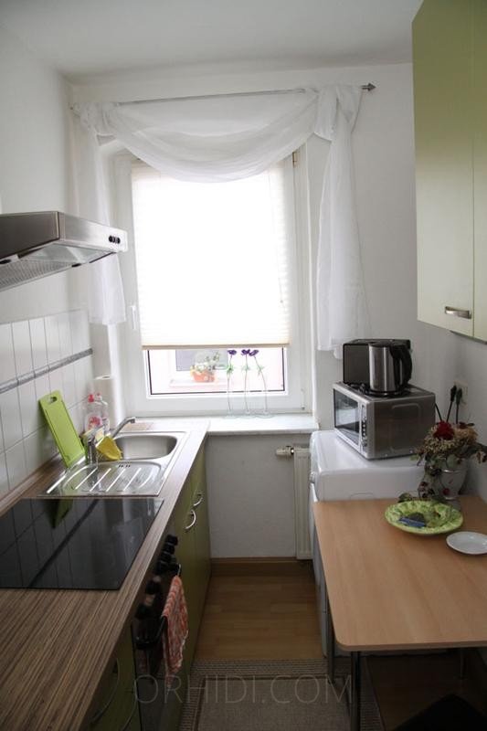 Best Wohnung in TOP Lage zu vermieten! in Gera - place photo 3