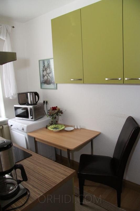Best Wohnung in TOP Lage zu vermieten! in Gera - place photo 4