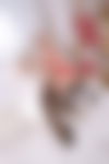 TS Amandia – BJ Expertin für Anf?nger in 74624 - hidden photo 5