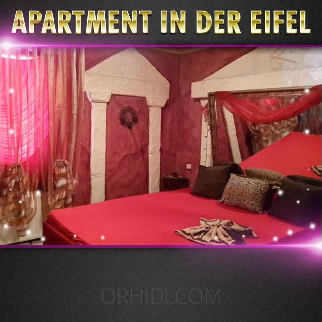 Bester Konkurrenzloses 3-Zimmer Appartement zu vermieten in Schleiden - place photo 2