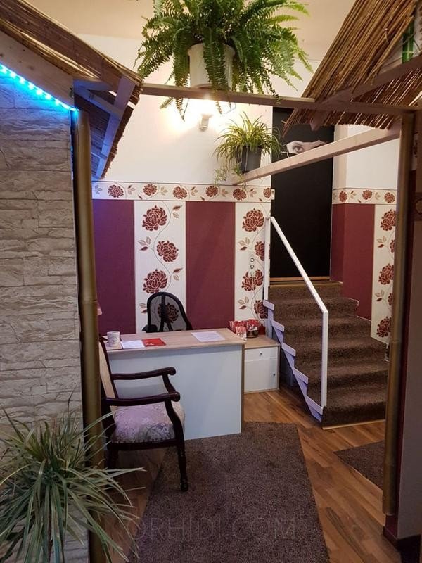 Los mejores clubes de sauna en Bad Kissingen - place Miete oder Prozente - Entscheide selbst