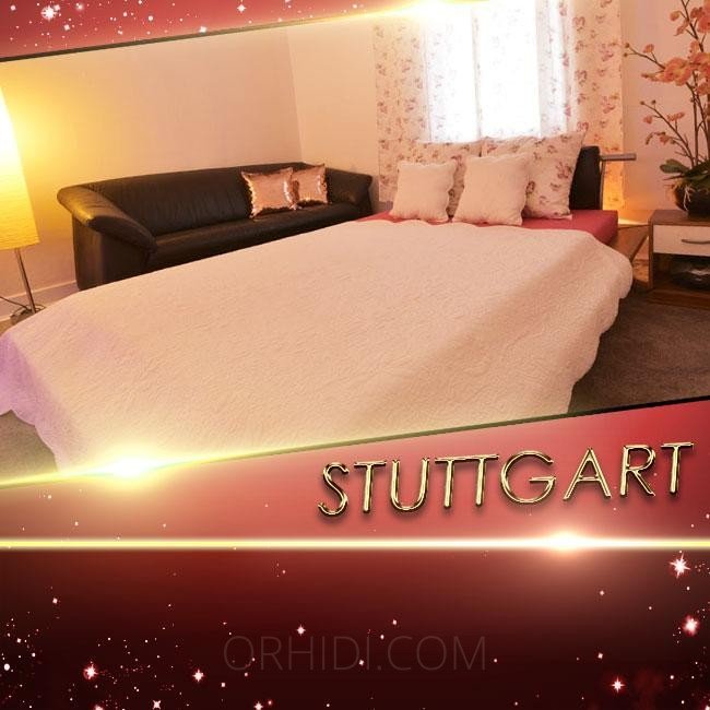 Лучшие 3 Luxuswohnungen auf Miete! в Штутгарт - place photo 5