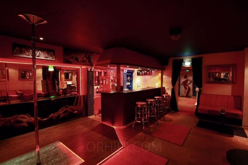 Best Tabledance-Bar abzugeben in Ginsheim-Gustavsburg - place photo 4