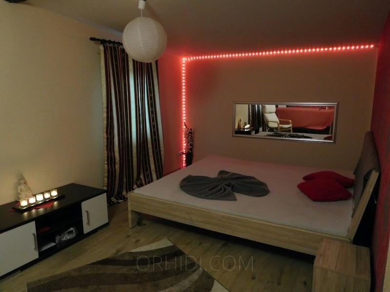 Strip Clubs in Halle (Saale) for You - place Zimmer in diskreter Hostessenwohnung (4 Zimmer) zu vermieten!