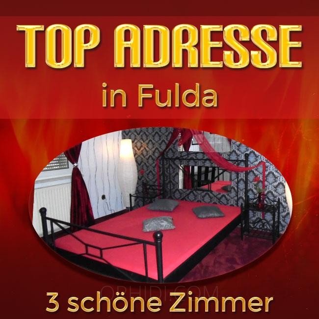 Mejor Top Terminwohnung en Fulda - place photo 2