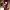 Meet Amazing MICHELLE AUS GUADELOUPE: Top Escort Girl - hidden photo 1