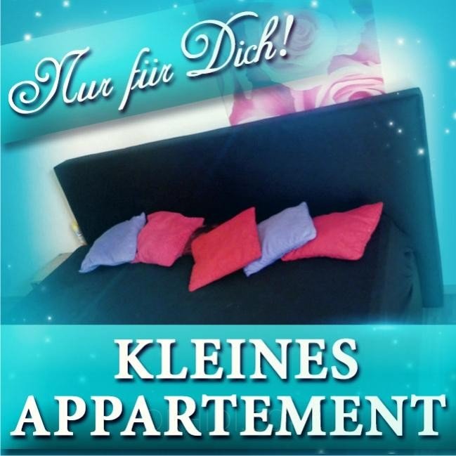 Best 1-Zimmer-Appartement zu vermieten! in Kaiserslautern - place photo 7