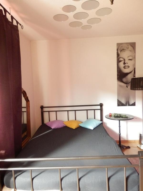 Best 1-Zimmer-Appartement zu vermieten! in Kaiserslautern - place main photo