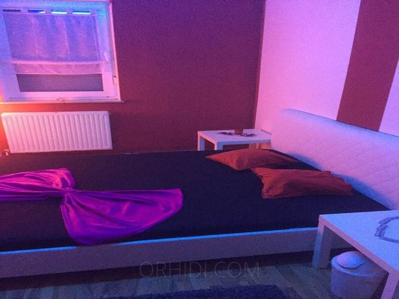 Best TOP Apartments suchen TOP Girls (18+) in Bad Hersfeld - place photo 5