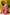 Meet Amazing CILLA NEU: Top Escort Girl - hidden photo 0