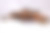 Tina ? - hidden photo 4