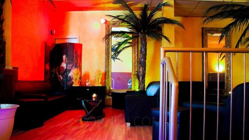 Riyadh Best Massage Salons - place Club Venus sucht Damen auf Zimmermiete !