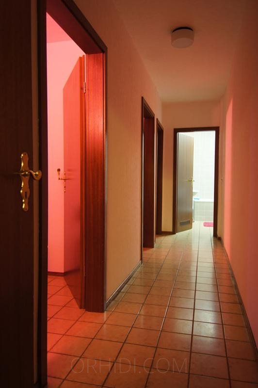 Best Neu renovierte und komplett eingerichtete Zimmer in Bad Homburg - place photo 8