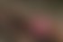 Meet Amazing TS LEA DENISE: Top Escort Girl - hidden photo 3