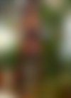 Meet Amazing Vanda: Top Escort Girl - hidden photo 5