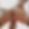 De lima ? - hidden photo 5