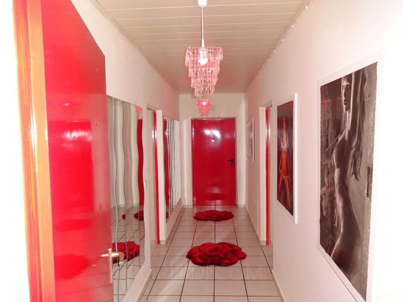 Best Sex parties Models Are Waiting for You - place Terminwohnung in Ingolstadt