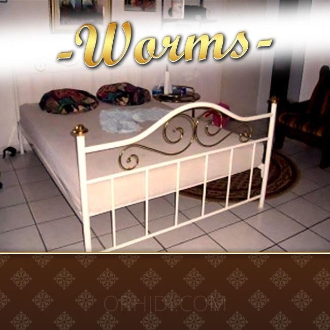 Лучшие Diskrete Zimmer in Worms zu fairen Konditionen zu vermieten! в Вормс - place photo 5