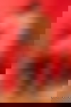Michelle  WIEDER DA! ? - hidden photo 6