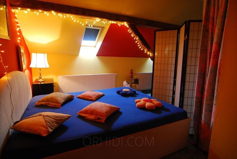 Best Privat - Haus 4 You in Nuremberg - place photo 7