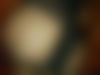 Isabell Santana - Exotische Sch?nheit als Escort Modell - hidden photo 31