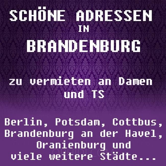 Einrichtungen IN Brandenburg - place TOP Appartements / Wohnungen in BRANDENBURG