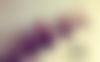 Celine ? - hidden photo 25