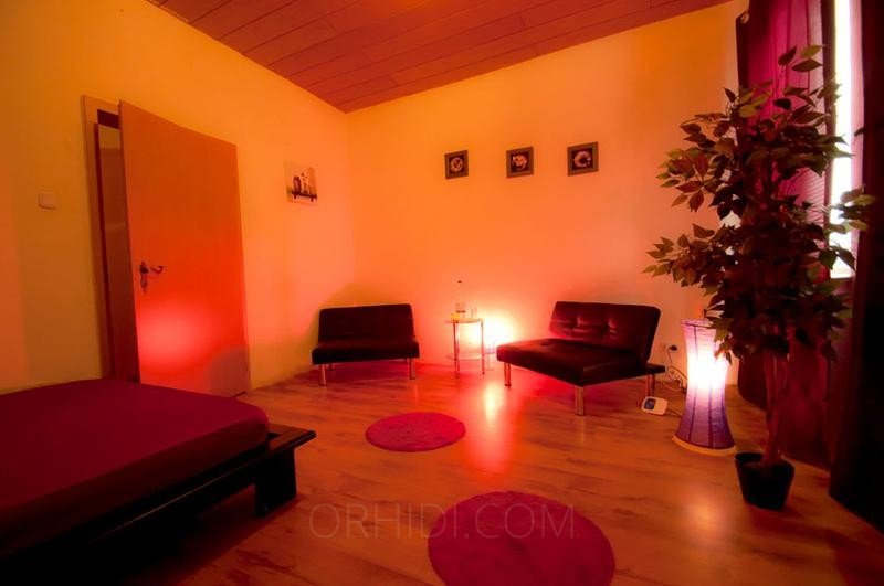 Brilon Best Massage Salons - place 2-Zimmerwohnung auf Termin zu vermieten