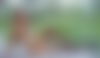 Mai ? - hidden photo 14
