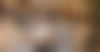 Audy ? - hidden photo 7