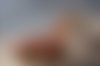 Meet Amazing Alana Heiss Sexy Intim Behaart: Top Escort Girl - hidden photo 3