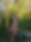 Yakira ? - hidden photo 5