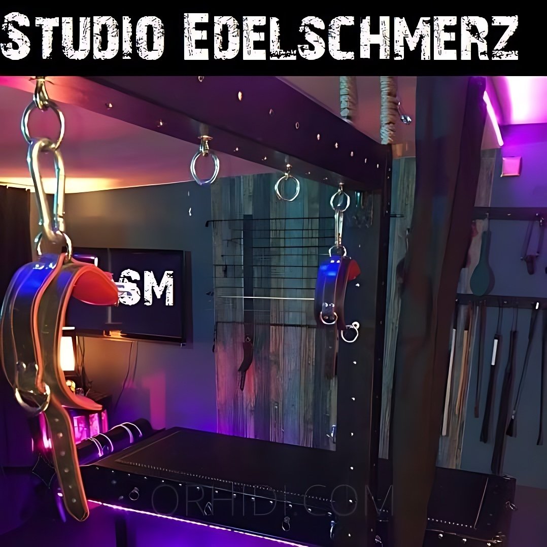 Best Sex parties Models Are Waiting for You - place SM-Zimmer im Studio Edelschmerz - Schweiz