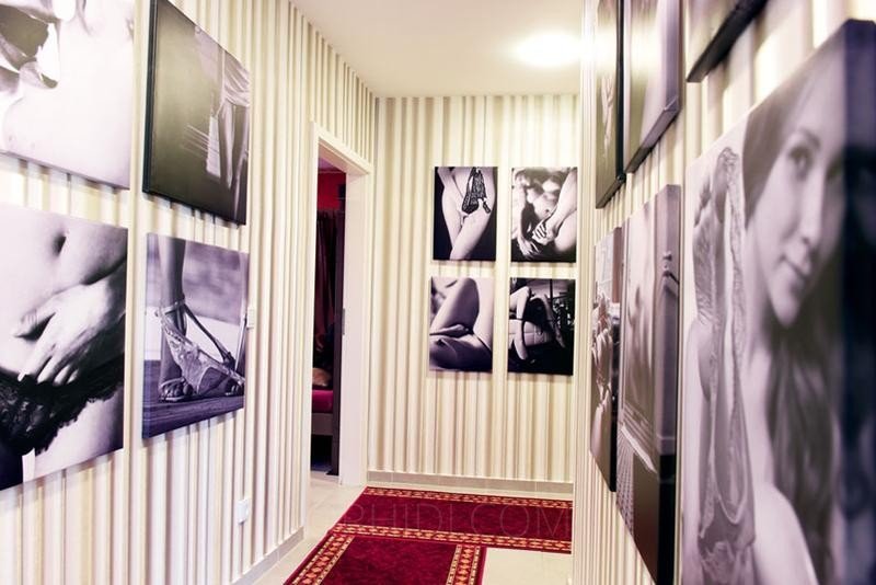 Bester Top 2-Zimmer Wohnung - Ideal für zwei Ladies in Bergisch Gladbach - place photo 4