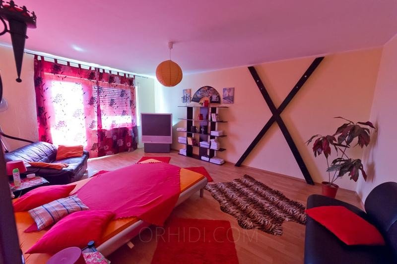 Best Flat for rent Models Are Waiting for You - place Top Terminappartements !