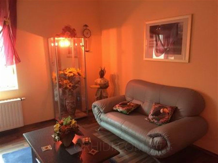HOTCATS CLUB - place photo 8