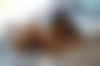 Elisa ? - hidden photo 7